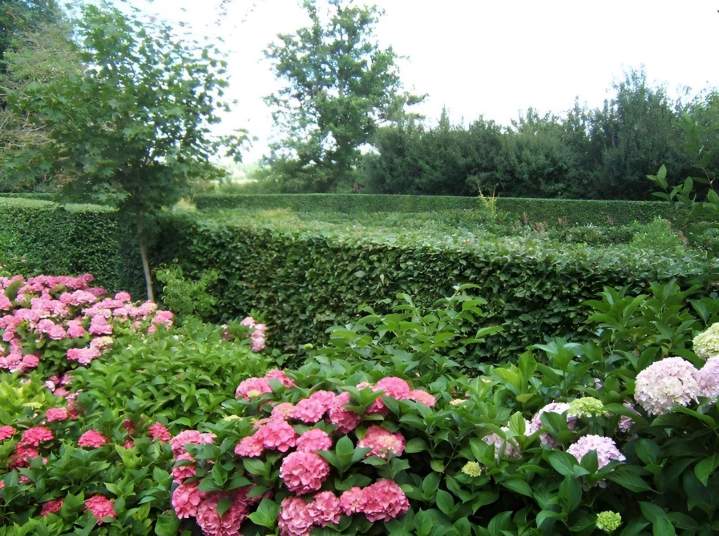 Taille de haies Le Blanc